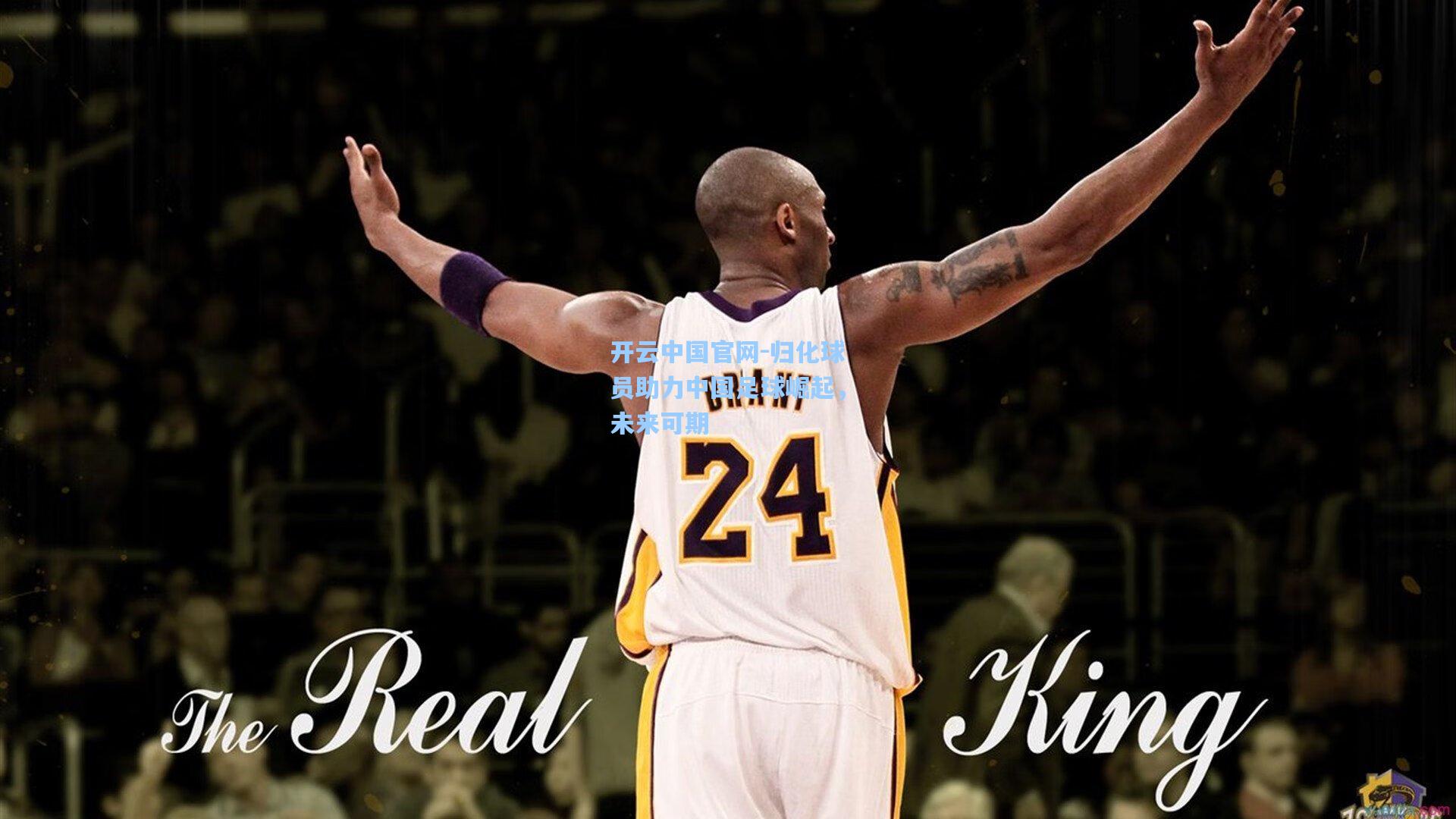 开云中国官网-归化球员助力中国足球崛起，未来可期